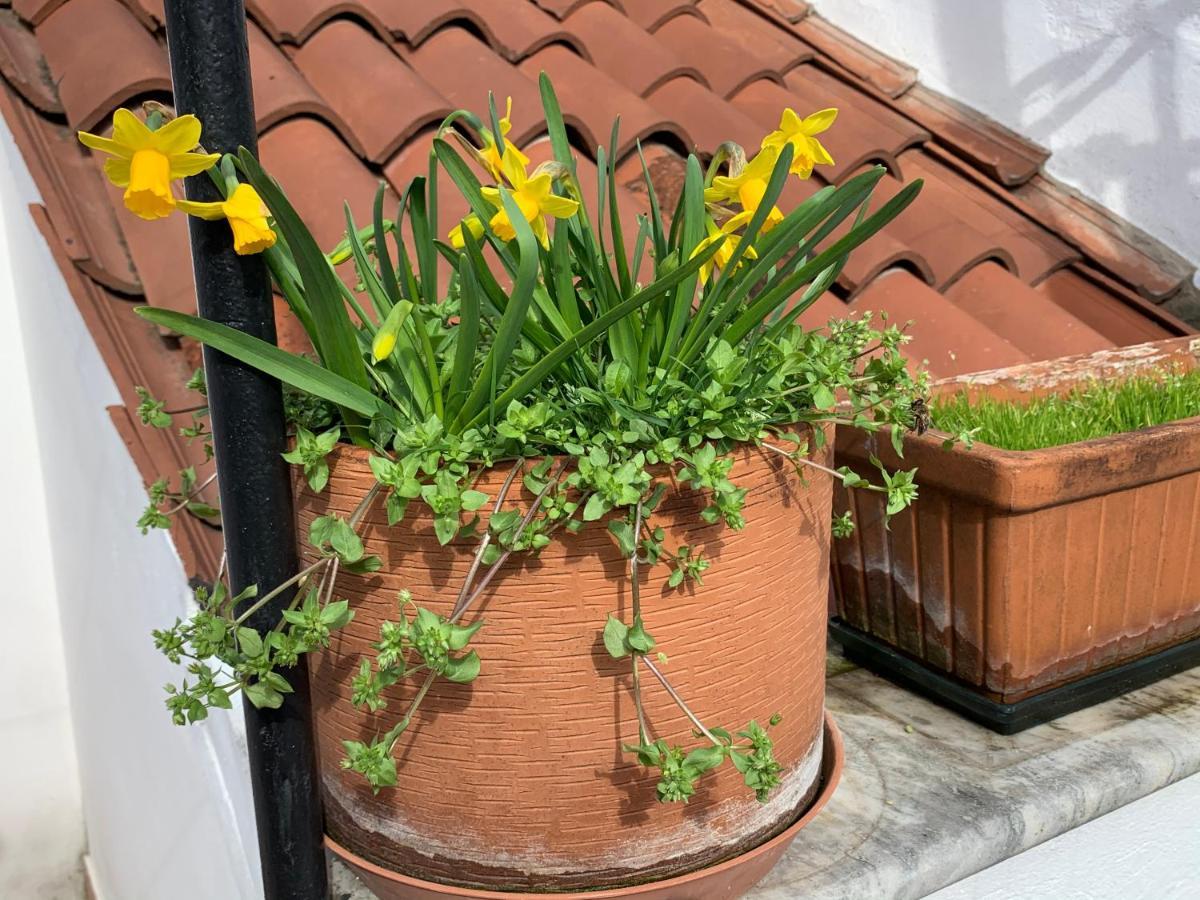 Rooftop Terrace Domus Dei Fabbri Venedik Dış mekan fotoğraf