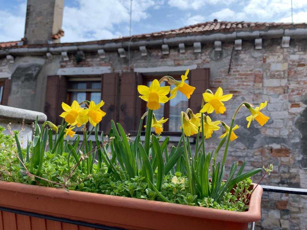 Rooftop Terrace Domus Dei Fabbri Venedik Dış mekan fotoğraf